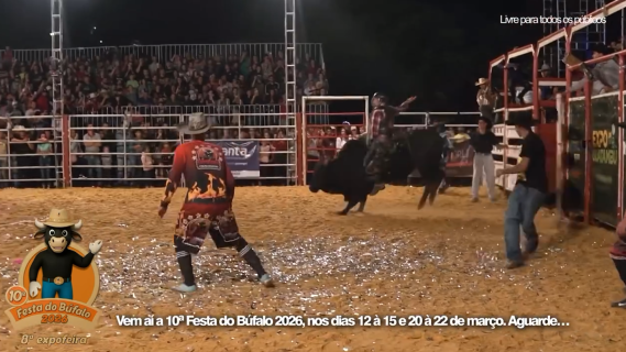 Festa Do Búfalo 2026
